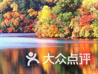 市新联分会组织开展“迎新春 送万福”送春联活动